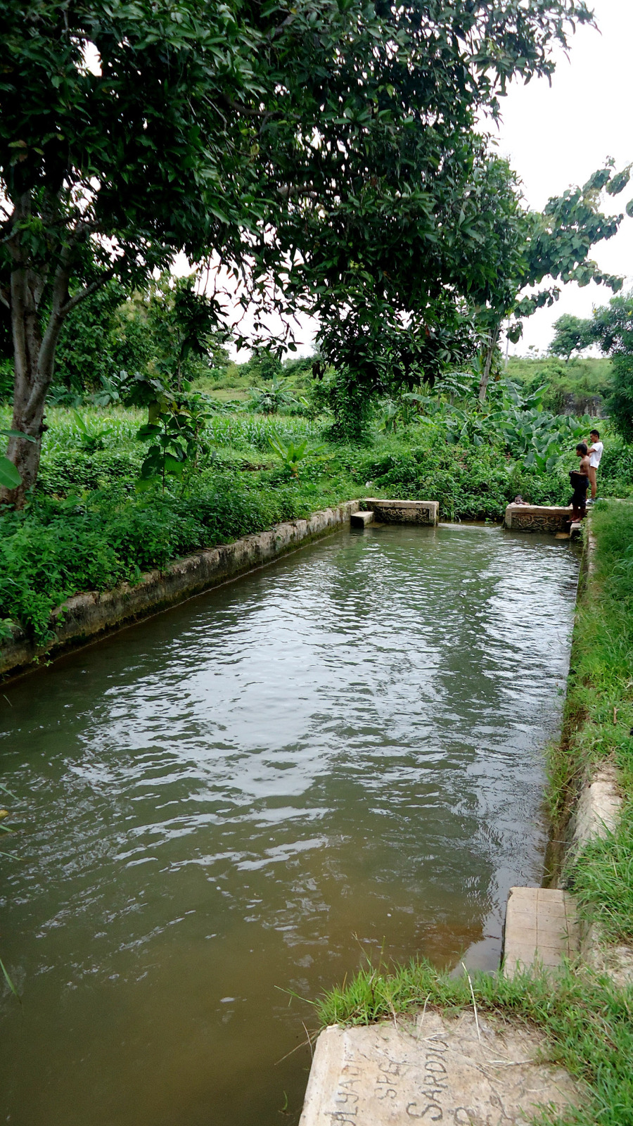 Kolam sumber air Ngipeng di Desa Jarorejo, Kecamatan Kerek, Kabupaten Tuban, Jawa Timur.