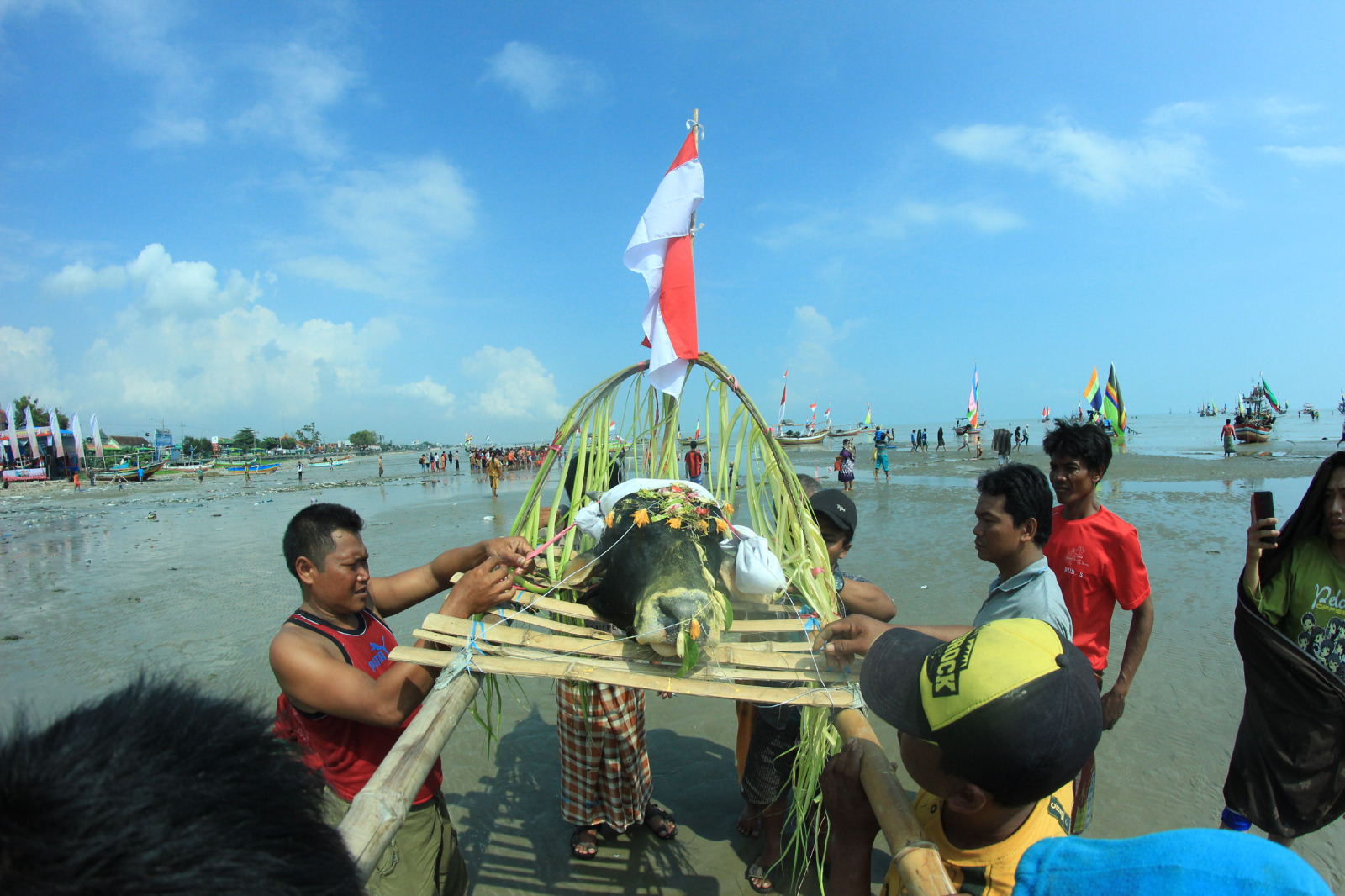 Nelayan menancapkan kepala sapi di atas tonggak bogor di Pantai Karangsari, Kecamatan Tuban.