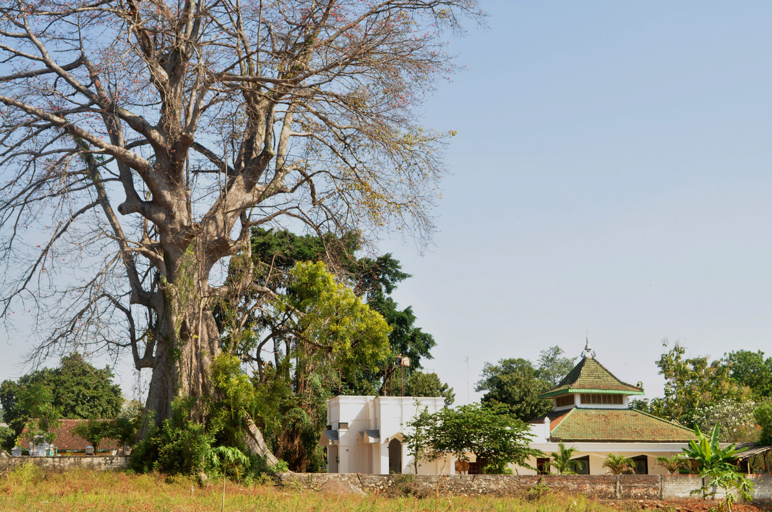 Masjid Baitul Muttakin di Dusun Dondong, Kelurahan Gedongombo, Kecamatan Semanding, Kabupaten Tuban, Jawa Timur yang dipotret pada 21 Juli 2012.