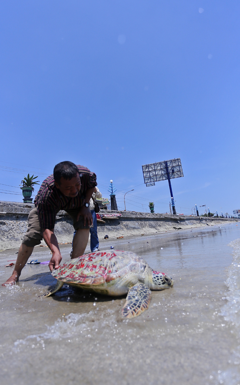 Umat tri darma fang sheng dengan melepas kura-kura di pantai depan TITD Kwan Sing Bio Tuban.