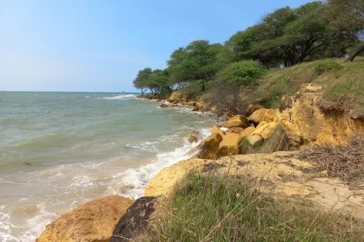 Pantai Sowan Tuban