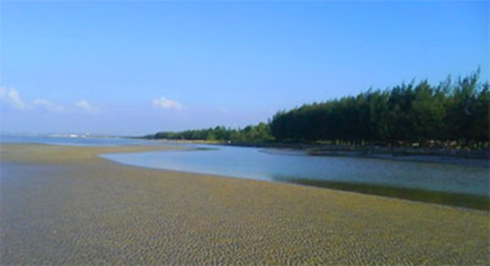 Pantai Mangrove Tuban