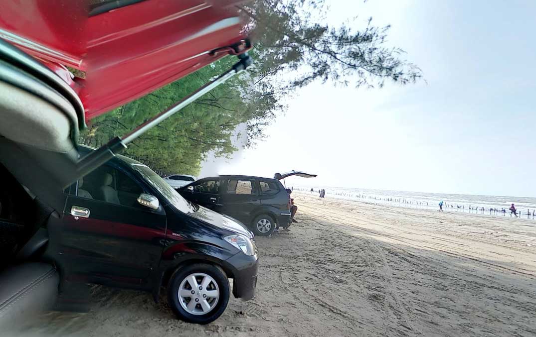 Mangrove Center Tuban menawarkan pengalaman yang beragam, mulai dari keindahan alam hingga kegiatan olahraga.