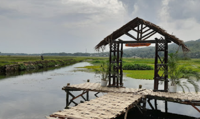 Wisata Rumpun Bambu di Rengel, Tuban yang dulu sempat viral.