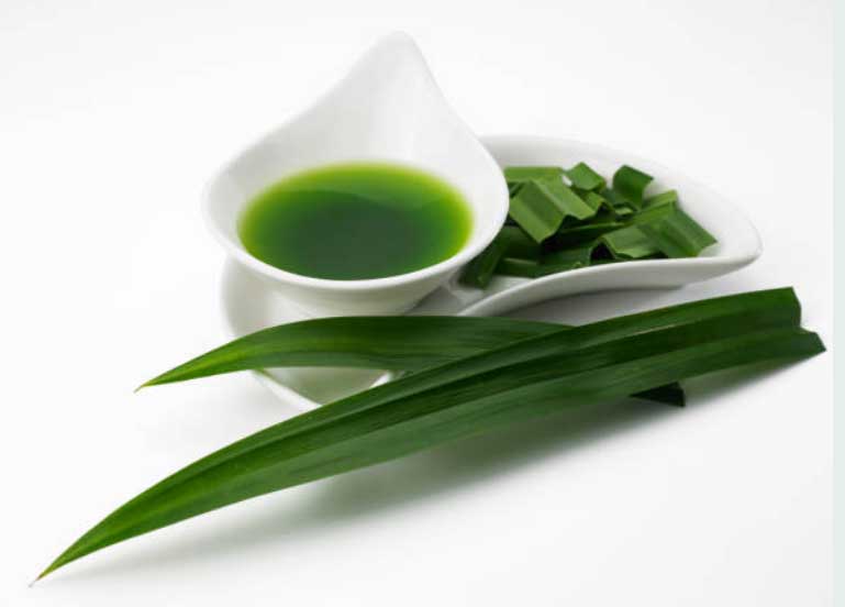 Selain aromanya yang harum, daun pandan mengandung berbagai nutrisi yang baik untuk kesehatan tubuh.