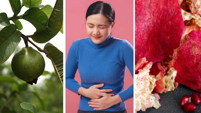 Bagi yang enggan minum obat kimia, ada beberapa jenis tanaman untuk obat diare yang bisa dibuat sendiri di rumah, terutama jika gejala diare masih ringan.