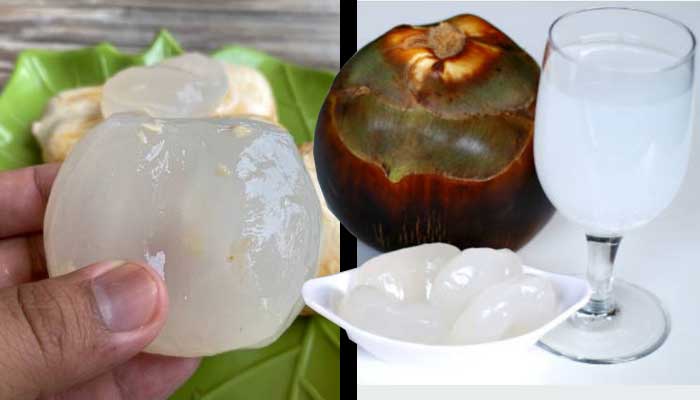 Siwalan, buah khas Tuban ini memiliki kadar gula yang rendah, sangat cocok dikonsumsi untuk Penderita Diabetes.