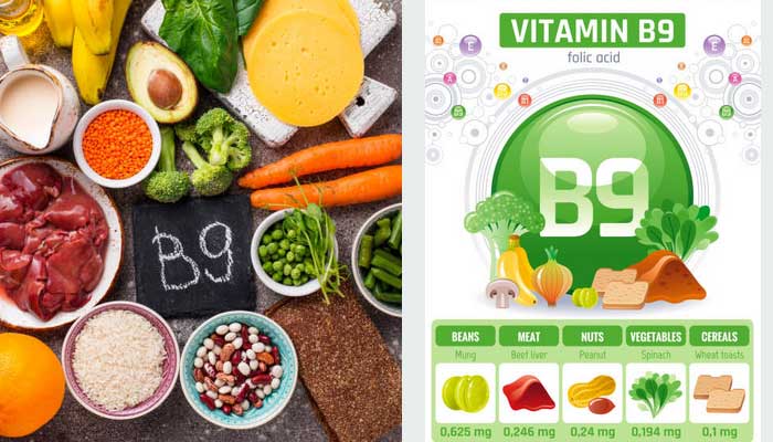 Vitamin B9 atau folat berfungsi membantu sistem metabolisme dalam tubuh.