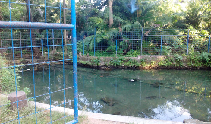 Taman Jaka Tarub, saksi bisu dibalik legenda kisah Jaka Tarub versi Tuban.