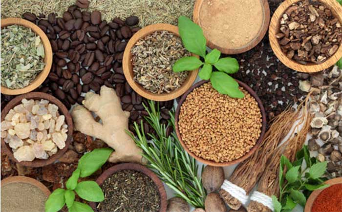 Tanaman obat menjadi langkah terbaik mencegah kanker serviks secara alami.