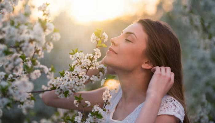 Manfaat tersembunyi dari bunga, selain memperindah tampilan ruangan, juga menghadirkan energi positif.