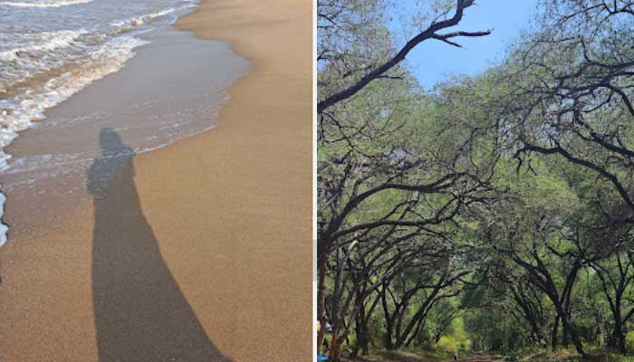 Pantai sowan, salah satu pantai tercantik di Tuban dengan pesona pasir putih.