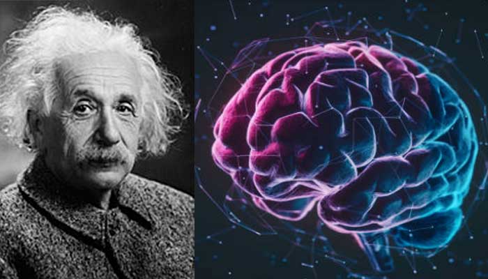 Cara tidur siang ala Einstein.