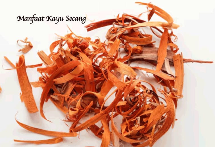 Manfaat kayu secang yang berkhasiat luar biasa bagi tubuh.