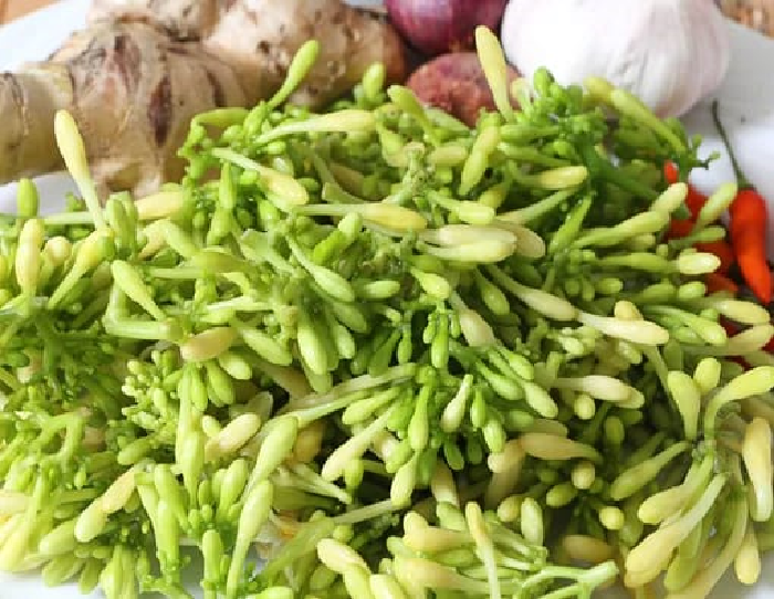 bunga pepaya yang miliki banyak manfaat kesehatan