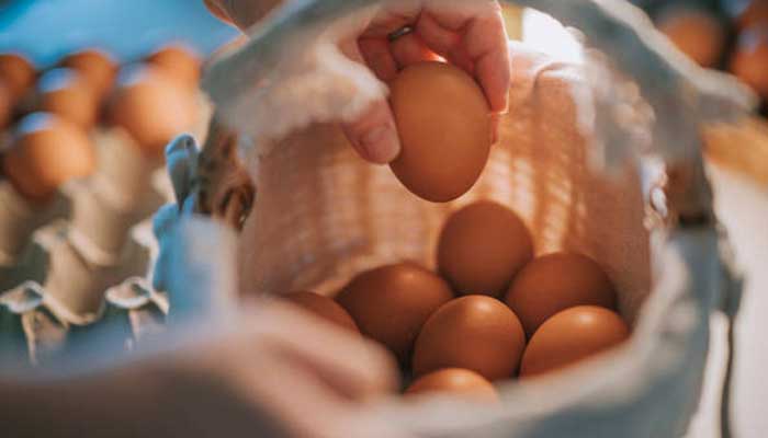 Harga telur di Tuban alami penurunan pada hari ini, Selasa (26/8).