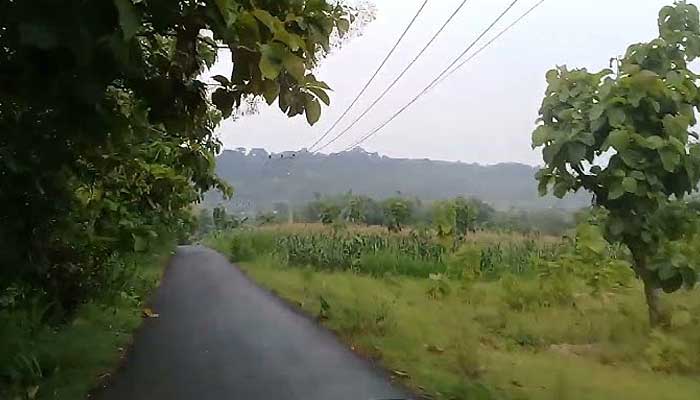 Desa Dermawuharjo, Kecamatan Grabagan, Tuban.