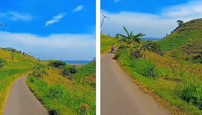 Tangkapan video keindahan alam pegunungan dari Desa Gemulung, Kecamatan Kerek, Tuban.