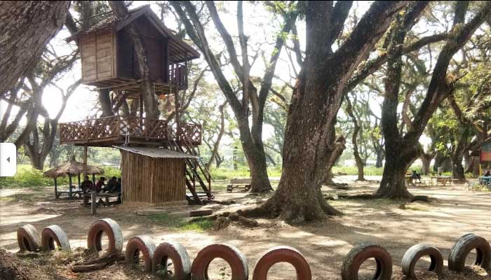 Discovery of Forest Jatirogo.