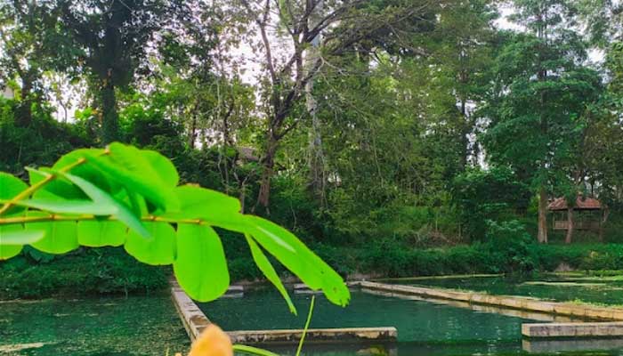 Sendang Kalangan, yang terletak di Krajan, Desa Montongsekar, Kecamatan Montong, Tuban.