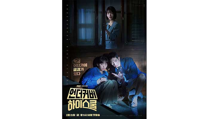 Undercover High School