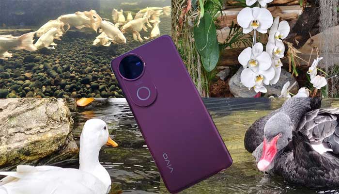 Hasil foto kamera Vivo V50, ponsel pintar terbaru dengan kamera lensa profesional berteknologi optik.