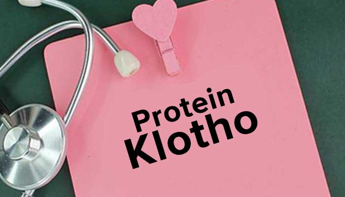 Protein Klotho, terobosan baru memperpanjang usia manusia hingga setara 16 tahun dari Universitas Barcelona.