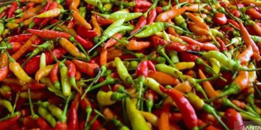 Sejumlah harga bahan pokok menjelang Idul Adha menunjukkan tren penurunan, termasuk cabai rawit merah dan bawang merah.