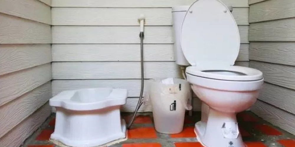 ilustrasi wc duduk dan jongkok