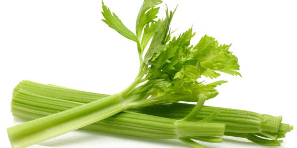 Daun seledri memiliki banyak manfaat bagi kesehatan.