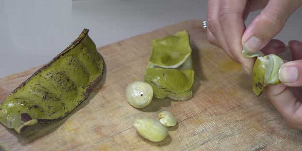 Ada beberapa tips cara menghilangkan bau jengkol di mulut dan trik mencegahnya, nafas pun bisa segar kembali.