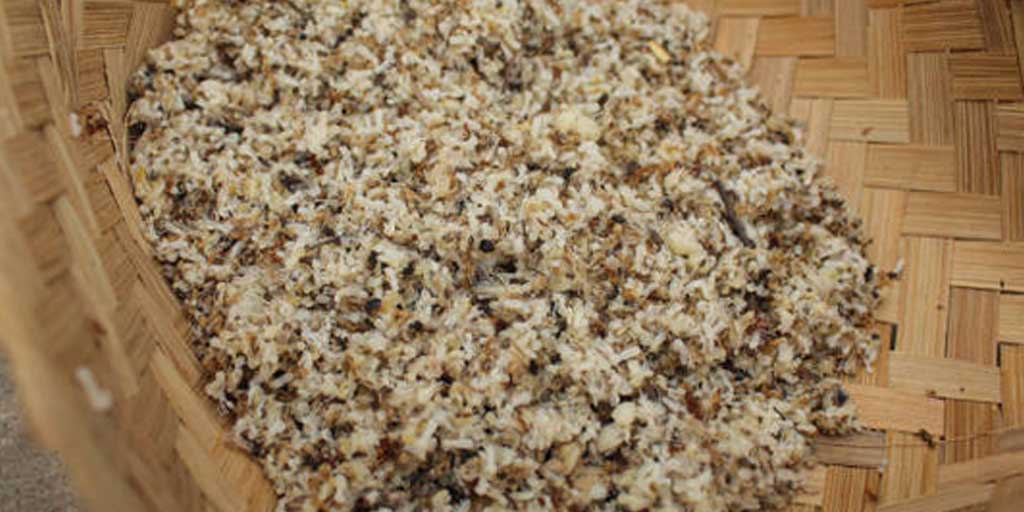 Selain sebagai pakan burung berkicau,  kroto juga digunakan untuk penelitian.