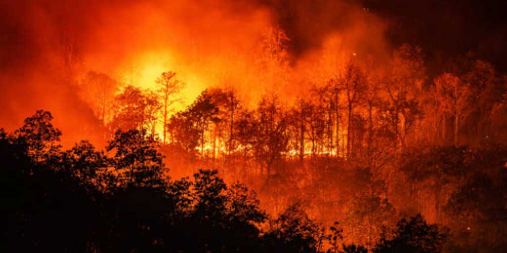 Pembakaran hutan untuk pembukaan lahan baru jadi pemicu utama terjadinya kabut asap. Foto adalah ilustrasi.