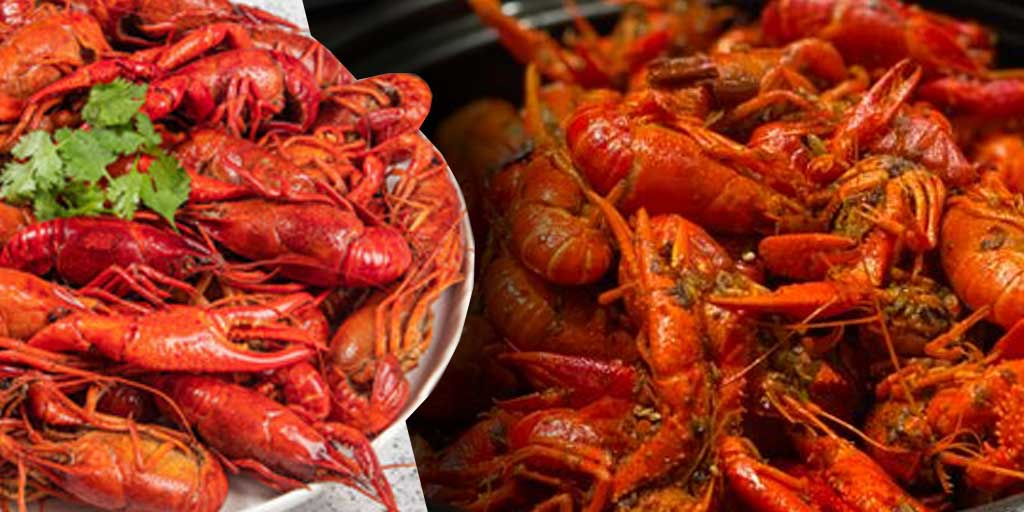 Lobster air tawar menyimpan segudang manfaat.