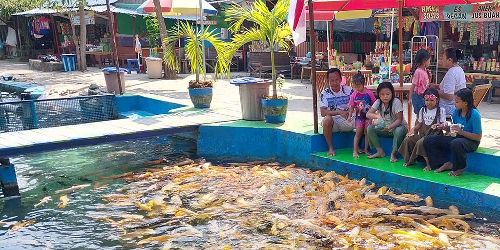 Wisatawan memberi makan ikan di Wisata Pelang Merakurak Tuban.