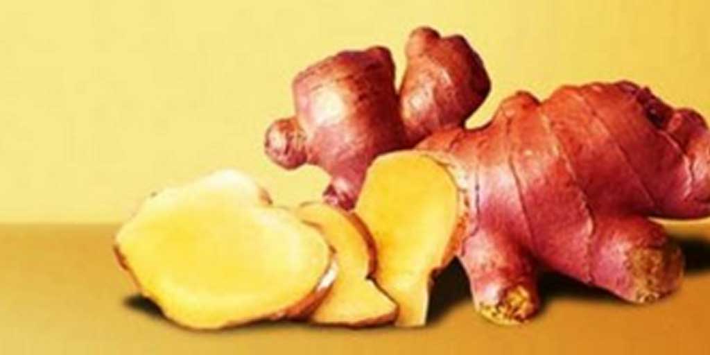 Jahe merah yang memilik banyak khasiat bagi kesehatan.