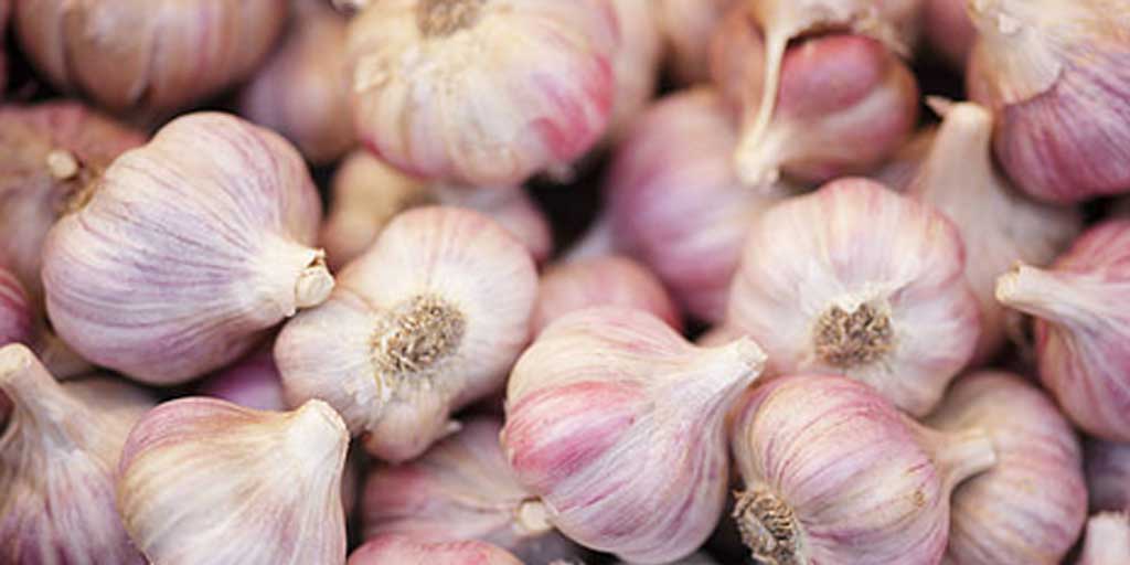 Harga bawang putih di Tuban pada hari ini  Sabtu 23 Agustus 2025 terpantau naik.