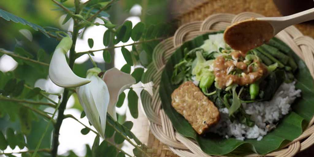 Pecel bunga turi, salah satu kuliner khas Tuban yang lezat dan memiliki rasa berbeda dari pecel pada umumnya.
