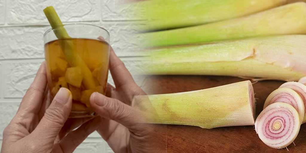 Tips resep wedang sereh khas Jawa, pilih batang serai yang segar, padat, dan berat saat dipegang.