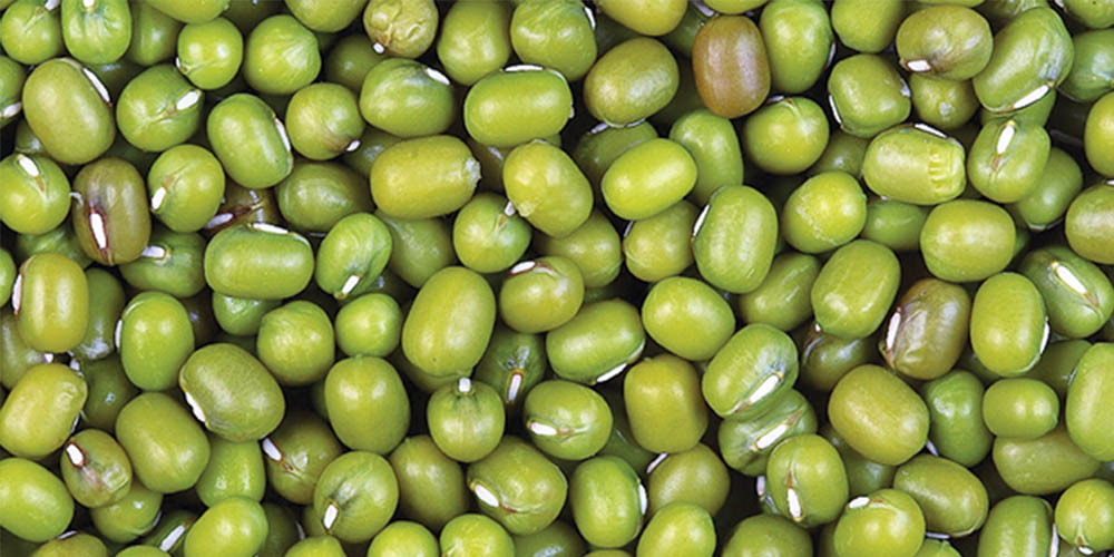 Kacang ijo dikenal kaya protein, vitamin, dan antioksidan. Di beberapa daerah, air rebusannya digunakan sebagai kompres alami untuk kulit gatal.