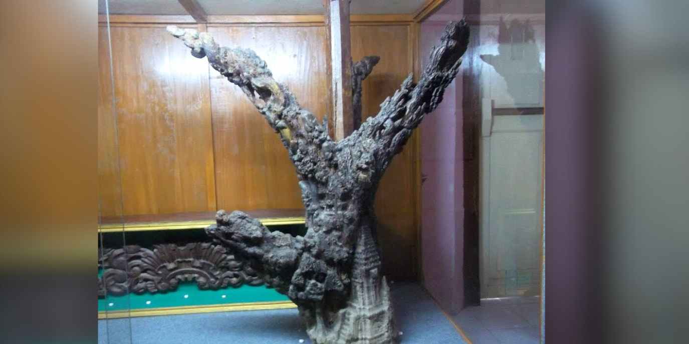 Kalpataru Sunan Bonang yang tersimpan di Museum Kambang Putih Tuban. Benda peninggalan sejarah itu sekarang mulai dijaga dan dirawat dengan ekstra karena sudah mulai rapuh