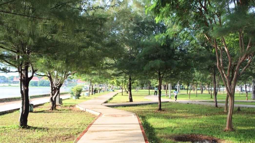 Jalur pedestrian teduh di kawasan Pantai Boom Tuban menjadi spot favorit warga untuk jogging dan menikmati suasana sore yang sejuk di bawah rindangnya pepohonan.