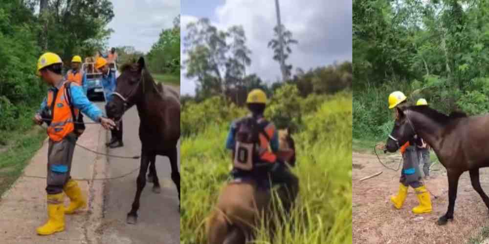 Petugas PLN di Merauke menunggangi dan menuntun kuda untuk menembus medan ekstrem menuju Kampung Nggolar. Jalan berlumpur dan rawa membuat kendaraan tak bisa lewat, sehingga memilih naik kuda
