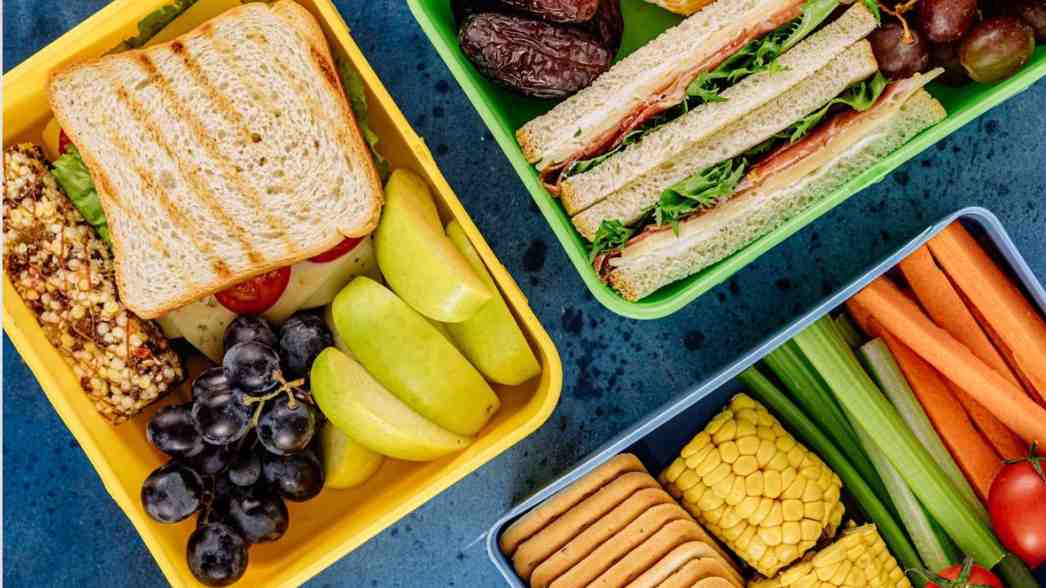 Bekal tanpa nasi tetap bisa cantik, sehat, dan mengenyangkan. Kombinasi sandwich, buah segar, sayuran renyah, dan camilan bergizi ini bikin makan siang makin praktis tanpa rasa ngantuk.