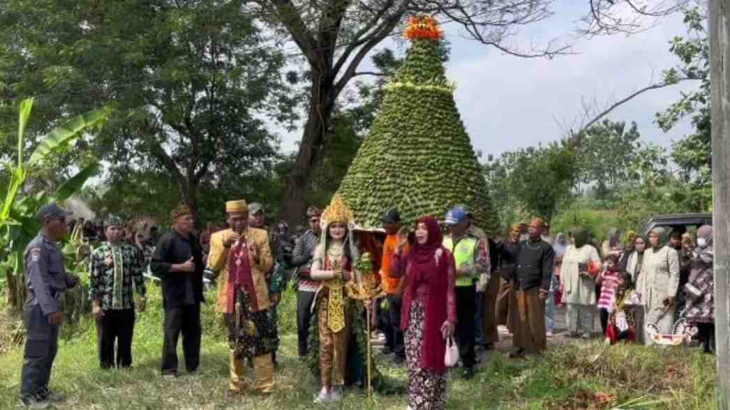 Ribuan tape disusun menjadi gunungan, siap diperebutkan warga sebagai simbol berkah dan kebersamaan.