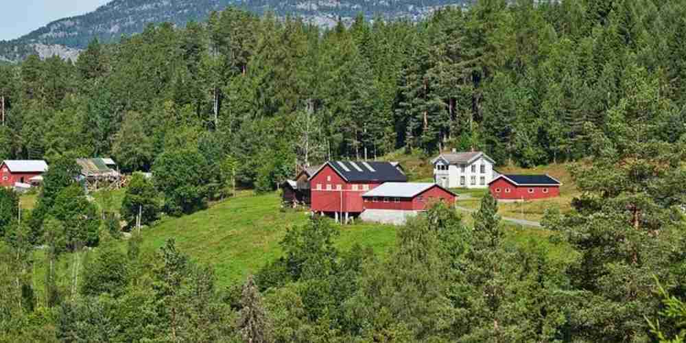 Norwegia mencatat sejarah sebagai negara pertama di dunia yang resmi melarang deforestasi. Kebijakan ini menjadi langkah nyata melindungi hutan, menjaga keanekaragaman hayati, dan menegaskan komitmen