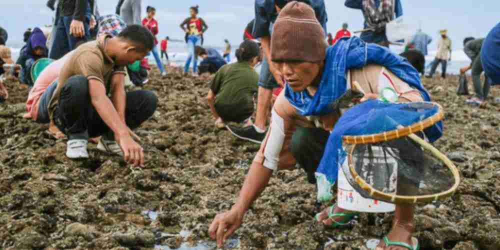 Tradisi Bau Nyale di pesisir selatan Lombok, ritual adat Suku Sasak yang memadukan legenda Putri Mandalika, kesuburan, dan kearifan lokal.