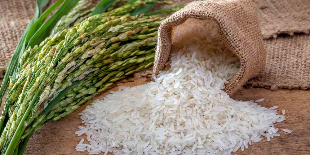 Pemerintah dorong beras satu harga dari Sabang sampai Merauke mulai 2026! Tujuannya agar harga beras menjadi adil dan seragam di seluruh Indonesia, tak lagi dipengaruhi biaya distribusi yang tinggi