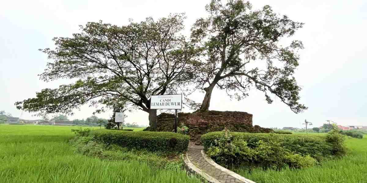 Candi Lemah Duwur, situs sunyi peninggalan Majapahit di Sidoarjo yang menyimpan sejarah dan aura mistis di tengah persawahan.