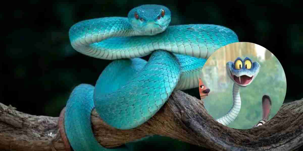 Viral karena Zootopia 2, Blue Pit Viper Indonesia jadi sorotan dunia. Antara kekaguman, risiko, dan pentingnya konservasi.